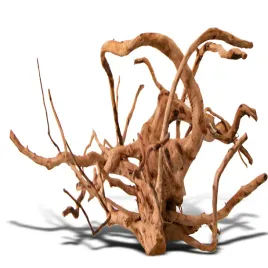 duze-korzenie-japonskie-mizube-i-ryuboku-shizen-essence-j-roots-l