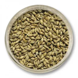 slod-pilznenski-viking-malt-3-2-4-5-ebc-1kg