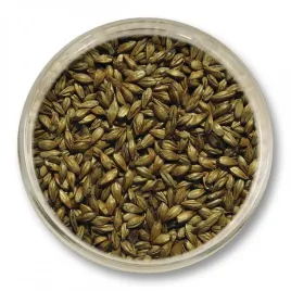slod-karmelowy-150-viking-malt-100-180-ebc-1kg