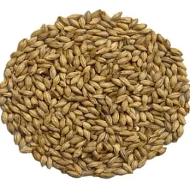 slod-melanoidynowy-60-80-ebc-weyermann-1-kg