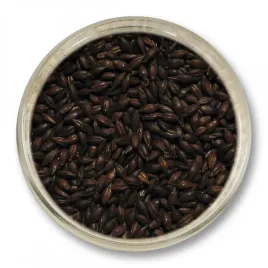 jeczmien-prazony-1000-ebc-1kg