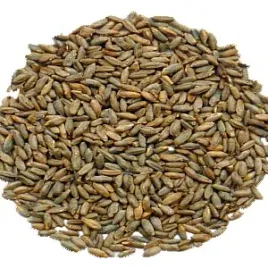 slod-zytni-3-8-ebc-weyermann-0-5-kg