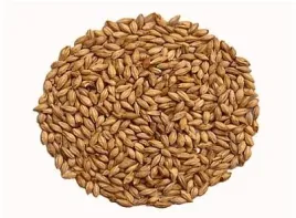 slod-abbey-malt-40-50-ebc-weyermann-05-kg