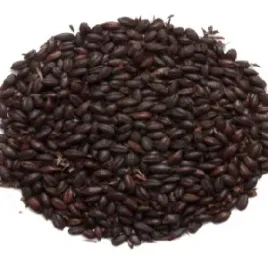 slod-carafa-r-special-typ-ii-1100-1200-ebc-weyermann-r-05-kg