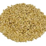 slod-carapils-05-kg-weyermann