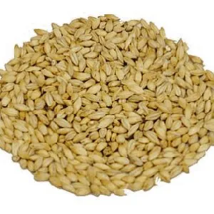 slod-carapils-05-kg-weyermann-rodzaj-slodu-jeczmienny