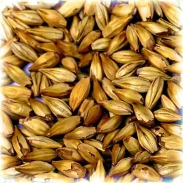 slod-chateau-cara-goldr-120-ebc-castle-maltingr-1-kg