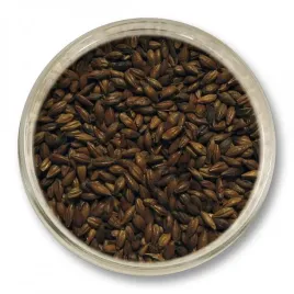 slod-czekoladowy-jasny-350-450-ebc-05kg