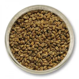 slod-pszeniczny-viking-malt-3-6-ebc-1kg