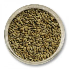slod-monachijski-typ-ii-viking-malt-16-24-ebc-5kg