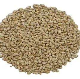 slod-pszeniczny-jasny-3-5-ebc-weyermann-r-1-kg