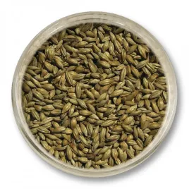 slod-monachijski-typ-i-viking-malt-12-15-ebc-1kg