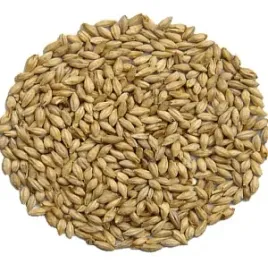 slod-jeczmienny-wedzony-bukiem-3-6-ebc-weyermann-05-kg