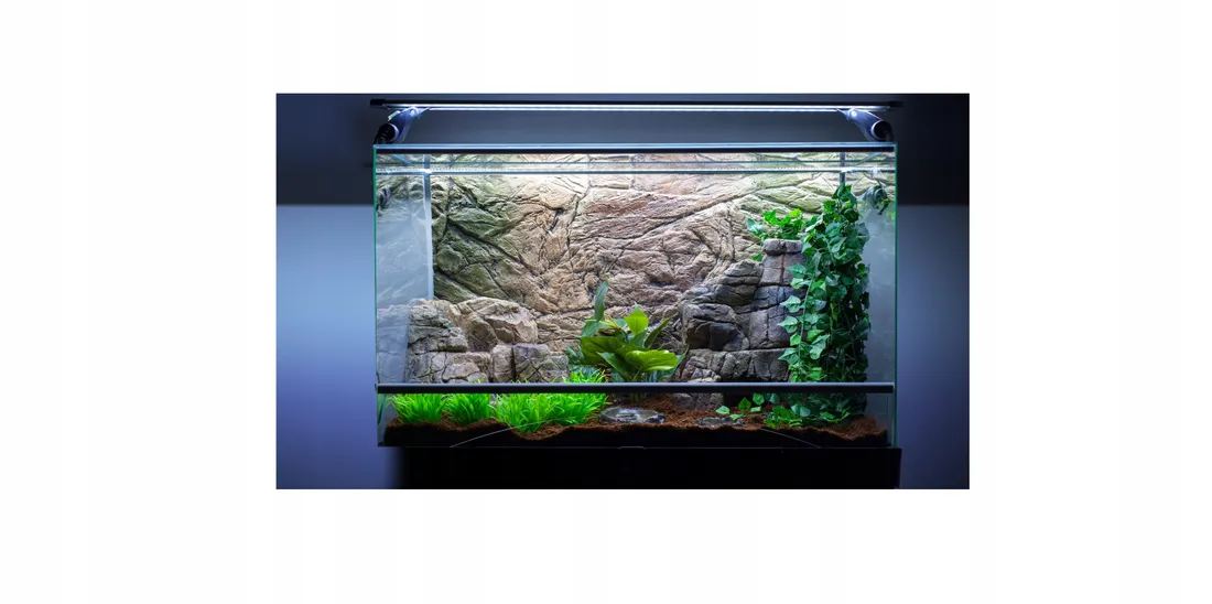 tlo-do-akwarium-100x50-amazon