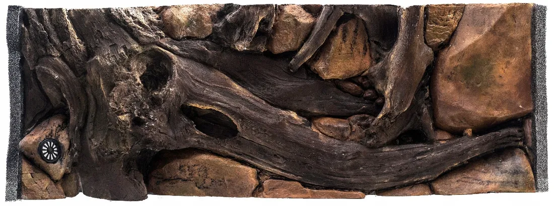 tlo-do-akwarium-100x50-amazon