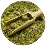 verde-mate-green-ipa-05-kg