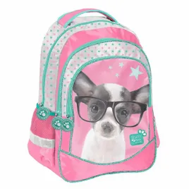 plecak-studio-pets-chihuahua