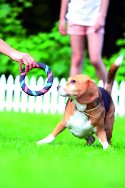 prosperplast-plotek-ogrodowy-35m-graden-classic-braz-stan-nowy-kod-producenta-iplsu2-r222