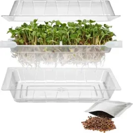 kielkownica-zielona-czuprynka-z-nasionami-rzodkiewki