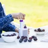 drylownica-do-sliwek-stan-nowy