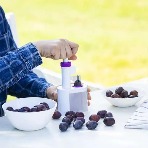 drylownica-do-sliwek