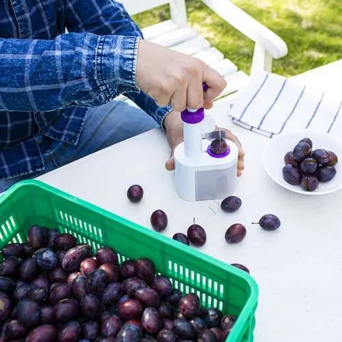 drylownica-do-sliwek