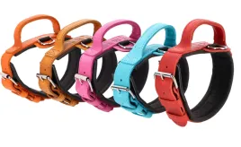 obroza-skorzana-z-raczka-drago-kolorowa