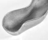 modern-oslonka-dluga-xl-dlugosc-1-cm