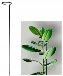 podpora-metalowa-pierscien-ogrodu-roslin-borowki-kwiatow-roz-hortensji-60cm