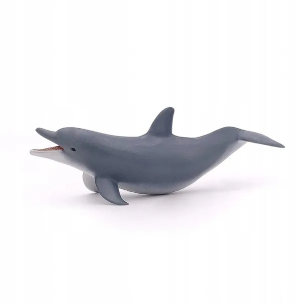 delfin-bawiacy-sie-stan-nowy