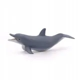 delfin-bawiacy-sie-stan-nowy