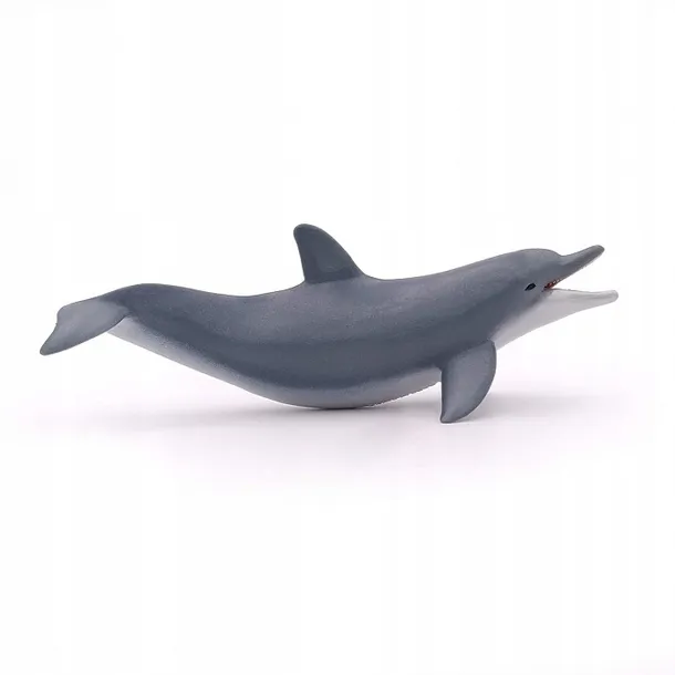 delfin-bawiacy-sie-plec-chlopcy-dziewczynki