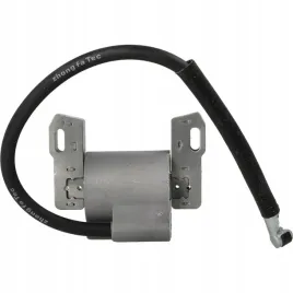 cewka-modul-briggs-stratton-intek-v-twin-592846-799651-691060-445-40f-40g