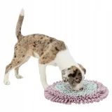 gra-aktywizujaca-junior-sniffing-carpet-38cm-marka-trixie
