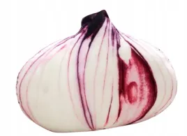 cebula-pluszowa-poduszka-pluszak-maskotka-zabawka-onion-50cm