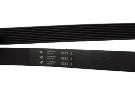 pasek-do-betoniarki-1031j-10-zeber-belle-spomasz-150l-pas-wielorowkowy-bwe