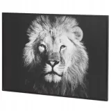 obraz-lew-37x27-cm