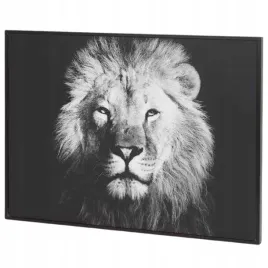 obraz-lew-37x27-cm