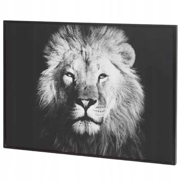 obraz-lew-37x27-cm