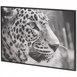 obraz-lampart-37x27-cm