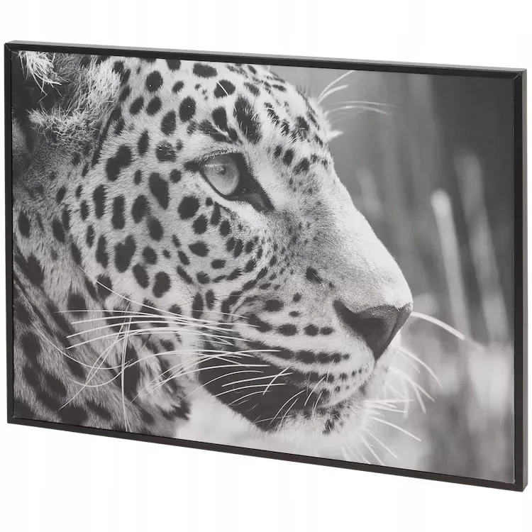 obraz-lampart-37x27-cm