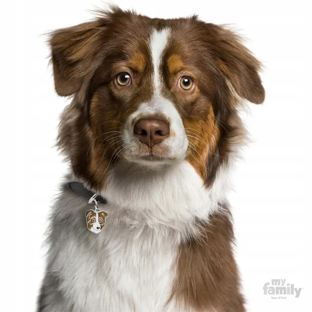 myfamily-adresowka-identyfikator-australian-shephe-marka-bez-marki