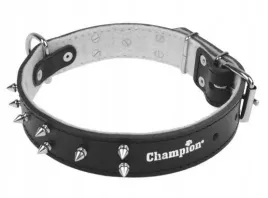 czarna-obroza-dla-psa-ze-skory-bydlecej-35cm-or-43-55cm-or-zdobiona-kolcami