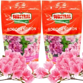 substral-nawoz-do-rodendronow-magiczna-sila-nawoz-interwencyjny-700g