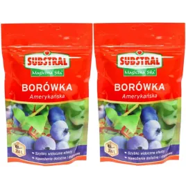 substral-nawoz-magiczna-sila-nawoz-do-borowek-700g-na-700l-wody