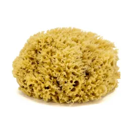 gabka-do-kapieli-naturalna-morska-rozmiar-xl-16-18-cm