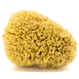 gabka-do-kapieli-naturalna-morska-rozmiar-xxl-18-20-cm