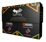 gra-dylematy-druga-edycja-ilustrator-martyna-szczykutowicz