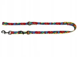 przepinana-smycz-dla-psa-z-mocnym-szyciem-dingo-city-graffiti-2cm-220cm