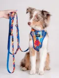 chaba-smycz-regulowana-m-2-250cm-aussie-stan-opakowania-oryginalne